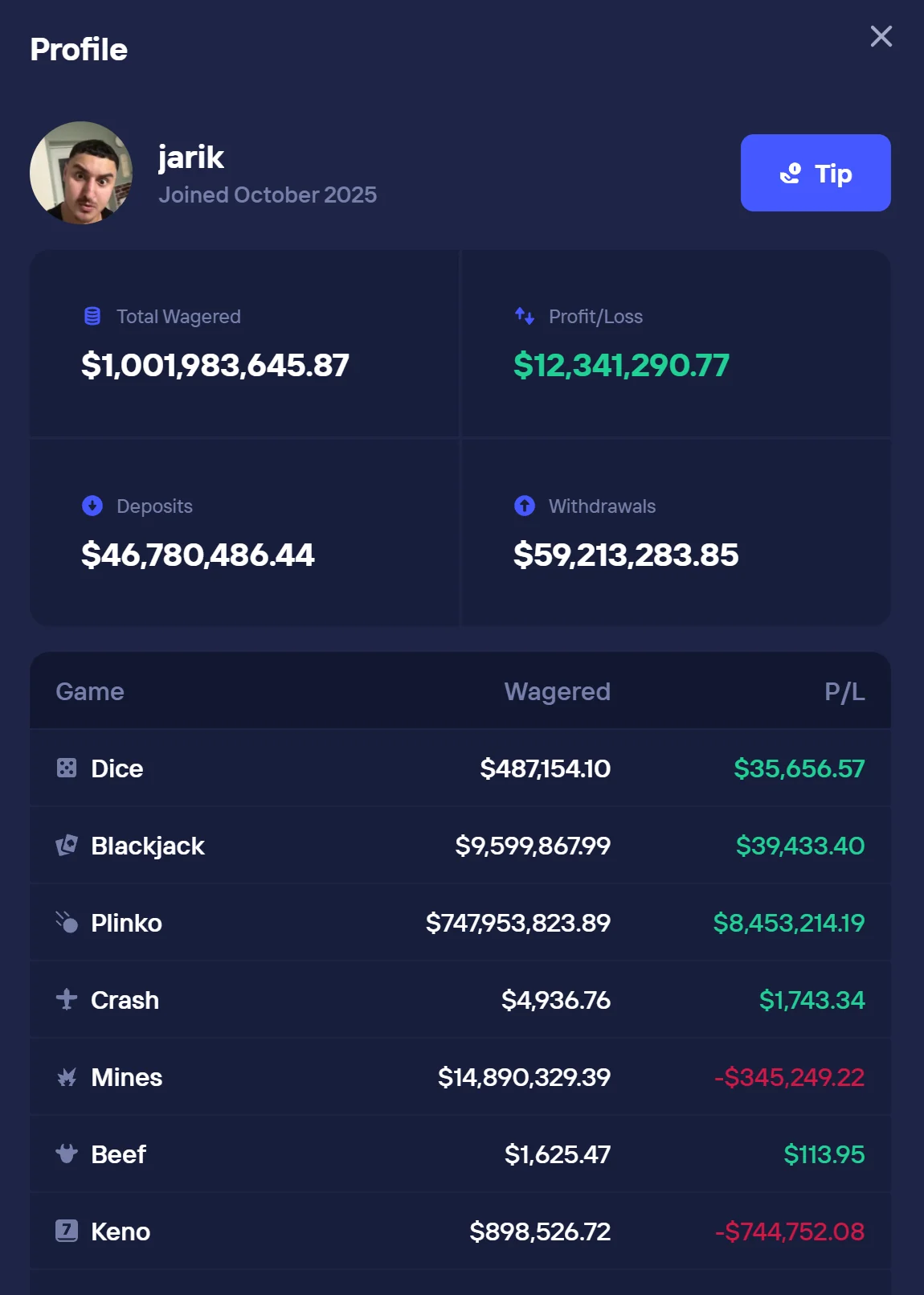 Duel Player Profile showing Total Wagered, Profit/Loss, Deposits and Withdrawals